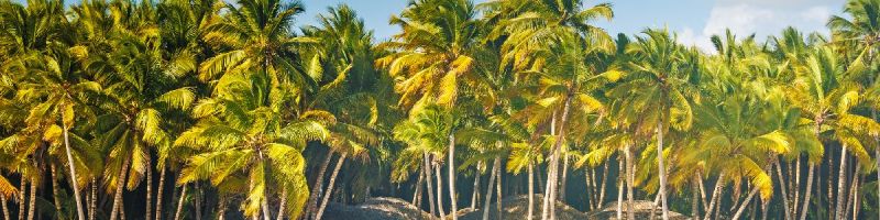 Co poza plażowaniem można robić na Dominikanie?
