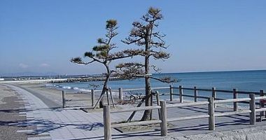 Sagara Beach, Makinohara, Japonia