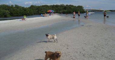 Dog Beach, Fort Myers Beach, Stany Zjednoczone