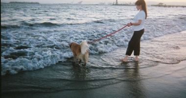 Rosie's Dog Beach, Long Beach, Stany Zjednoczone