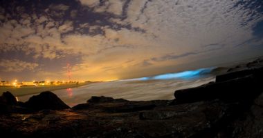 Plaże nad Bioluminescencyjną Zatoką na Wyspie Vieques