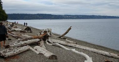 Owen Beach, Tacoma, Stany Zjednoczone