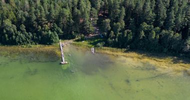 Plaża Mikaszówka w Dworczysku nad Jeziorem Płaskim